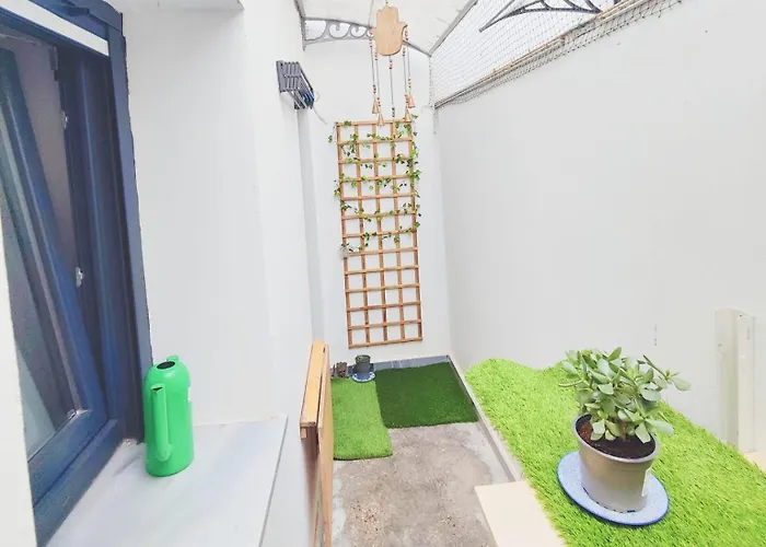 Lägenhet Casa Cristina Cádiz